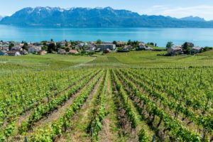 wide-angle photography of buildings beside lake during daytime