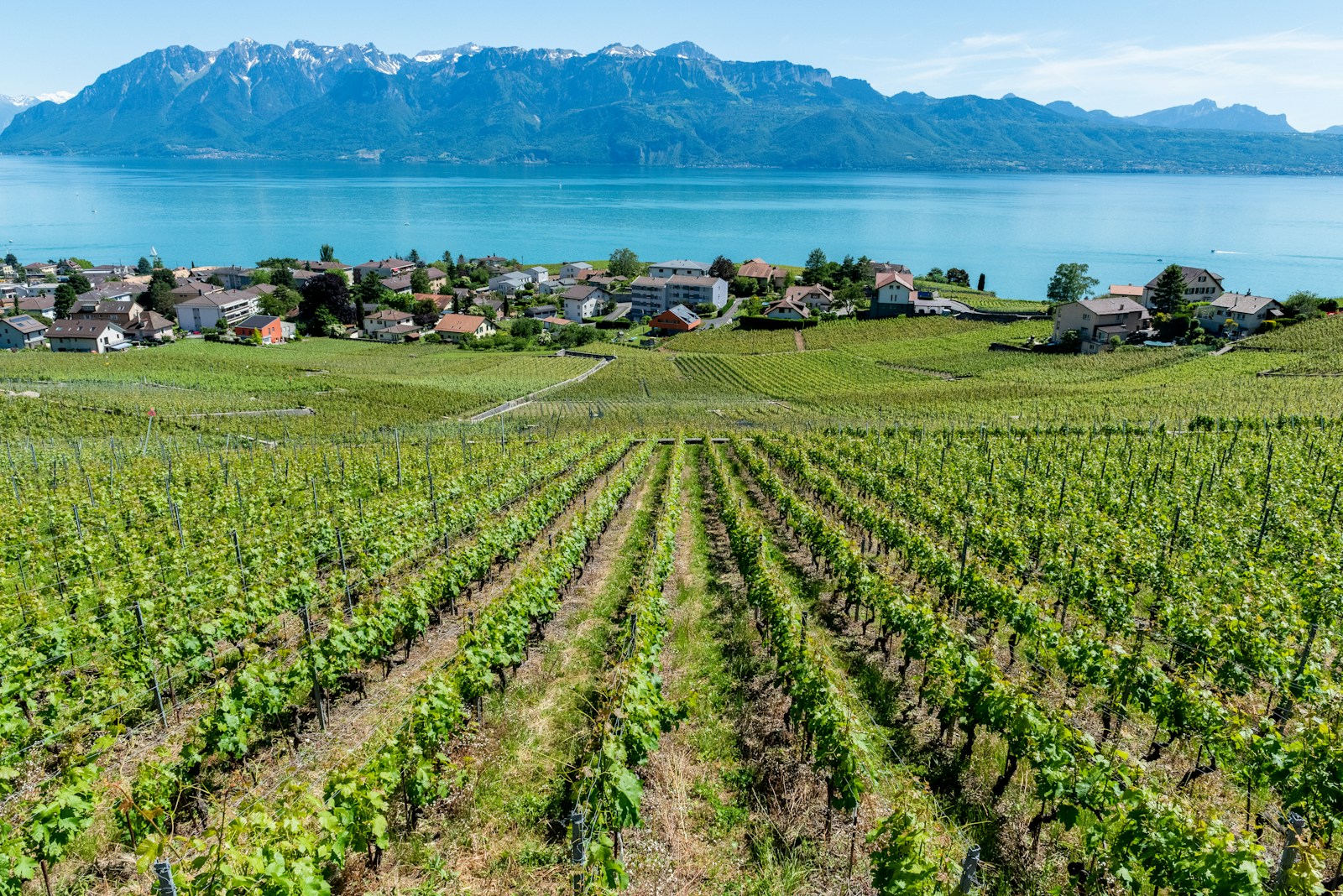 wide-angle photography of buildings beside lake during daytime